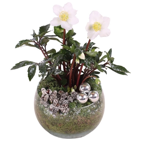 <h4>Christmas Arr. Outdoor Glass Bowl Vase ø20cm 1PP</h4>