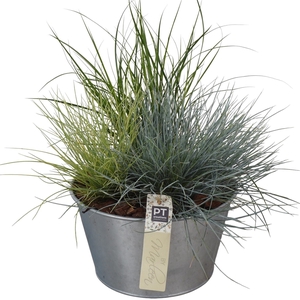 Arr.   Tuinplanten L%