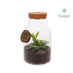 Terrarium met kurk voorzien van LED verlichting