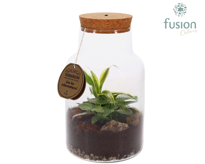 <h4>Terrarium met kurk voorzien van LED verlichting</h4>