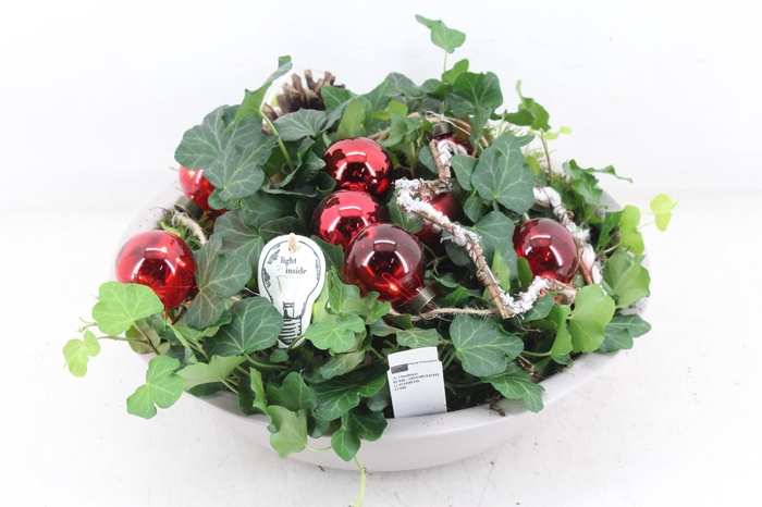 <h4>arr2 PL - Zink creme hed. rood LED ball</h4>