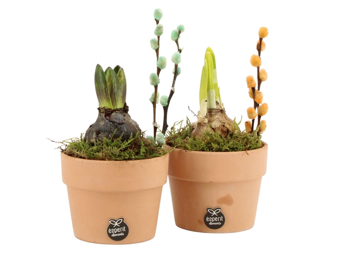 <h4>11667: Outdoor spring arrangement</h4>