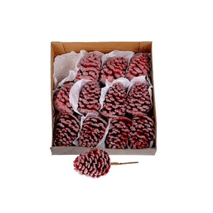 Deco Pinecone Wax Sugared L6w6h9d6