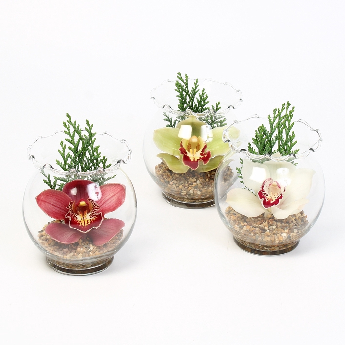 <h4>CYMB VERPAKT P BLOEM 8032</h4>