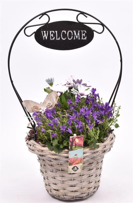 <h4>Wilg henselmand ''Welcome'' 19x44cm</h4>