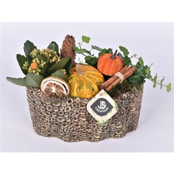 <h4>Arrangementen Sierfruit</h4>