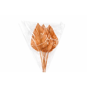 Dried Palm Spear 10pc Orange Bunch
