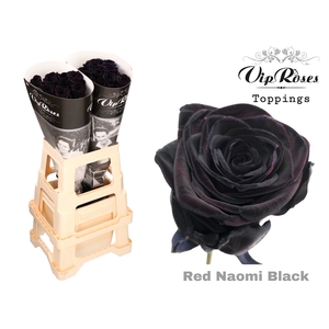 R GR RED NAOMI BLACK