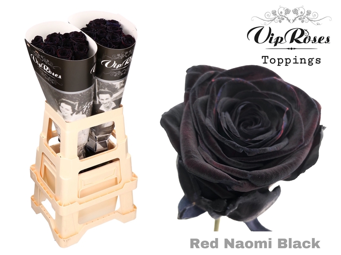 R GR RED NAOMI BLACK