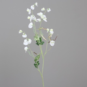 Vetch 110cm cream
