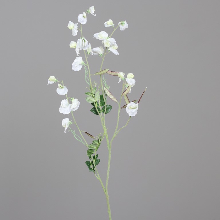 <h4>Vetch 110cm cream</h4>