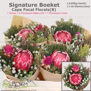 PROTEA PER BOS