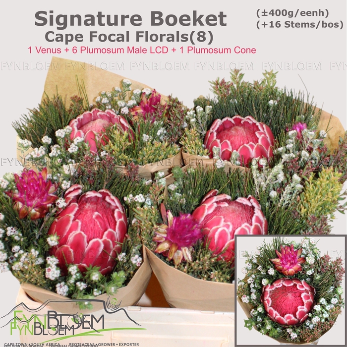 <h4>PROTEA PER BOS</h4>