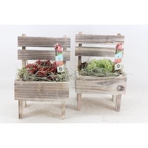 arr4 Semp JS - Houten stoel x6