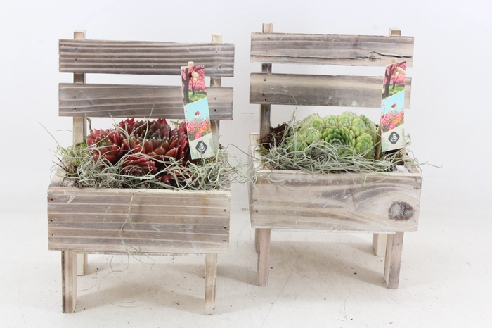 <h4>arr4 Semp JS - Houten stoel x6</h4>