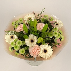 Bq Volume Voltage Salmon L