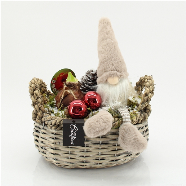 <h4>Arrangementen Hippeastrum H%</h4>