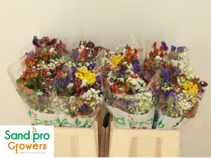 <h4>GEM ZOMERBOEKET</h4>