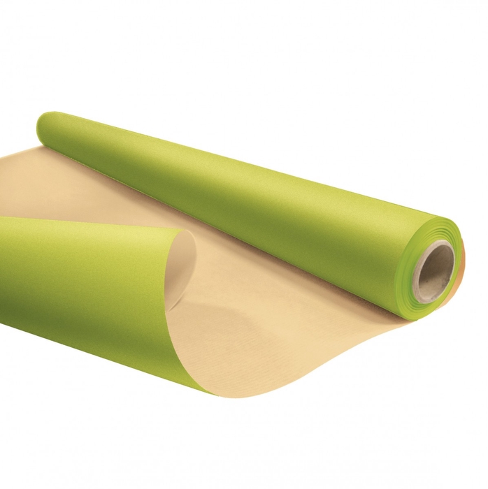 Paper roll 80cm 25m eco waterp