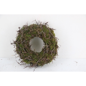 Wreath Moss Bonsai Ø30