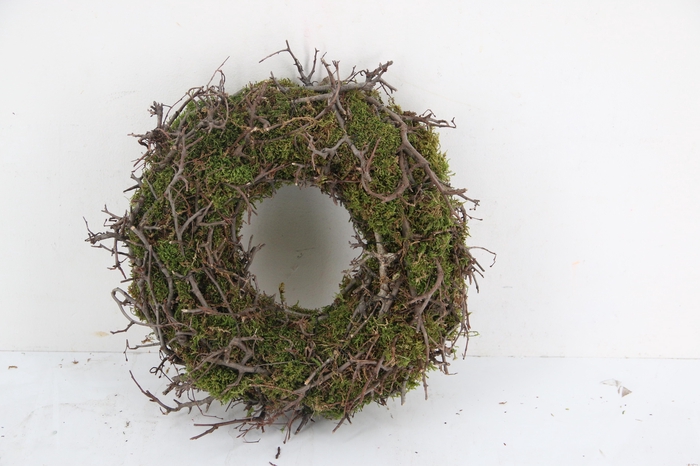 <h4>Wreath Moss Bonsai Ø30</h4>