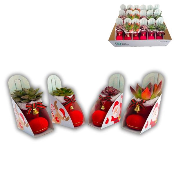 <h4>Arrangementen Kerst 6%</h4>