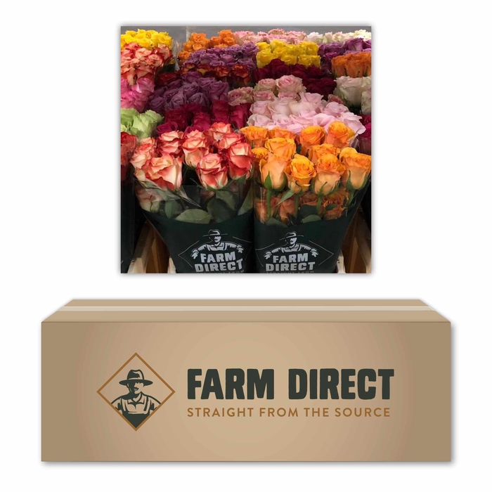 <h4>R Gr Gemengd In Doos</h4>