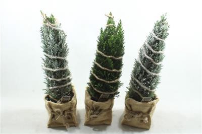 <h4>25217 Xl Jute Mix Picea</h4>