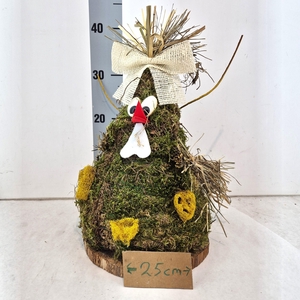 Paas Mos Kip op berkschijf