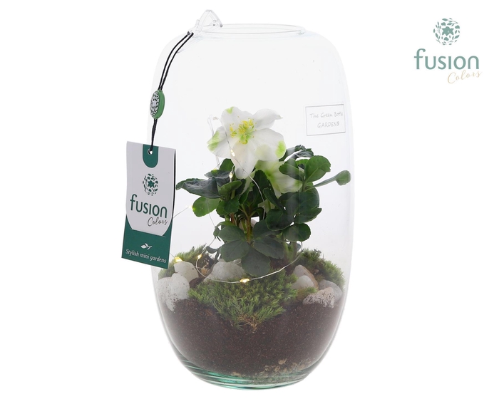 <h4>Green Bottle Isabella Medium met Helleborus met LED</h4>