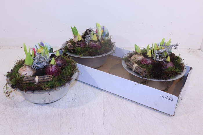 <h4>ARR BOL KNOLGEWAS</h4>