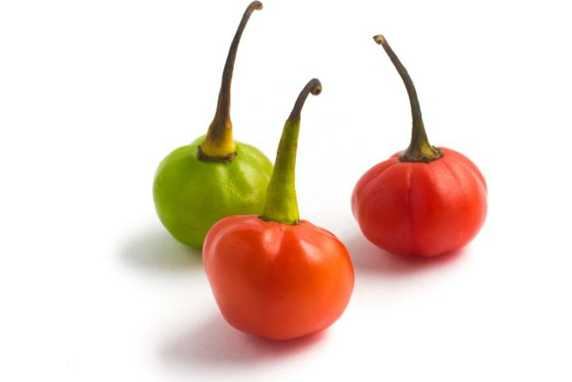 <h4>PIMENTA BODE P14</h4>