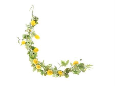 <h4>Garland Lemon L15w15h150</h4>