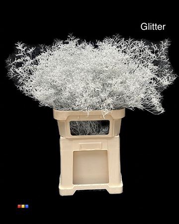 <h4>Limonium White + Glitter Bio</h4>