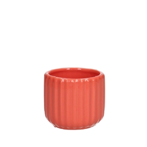 Codi pot d07.5*6.5cm