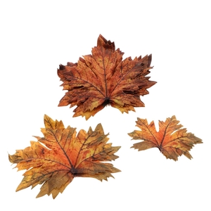 Autumn Deco maple leaf 18cm x12