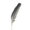 Pick grouse feather 20cm+50cm stick