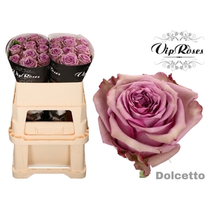 R GR DOLCETTO!
