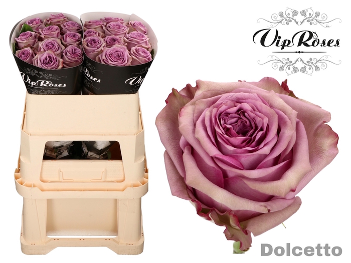 R GR DOLCETTO!