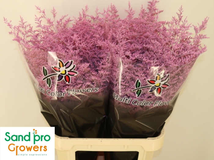 <h4>LIM OV KLB H%</h4>