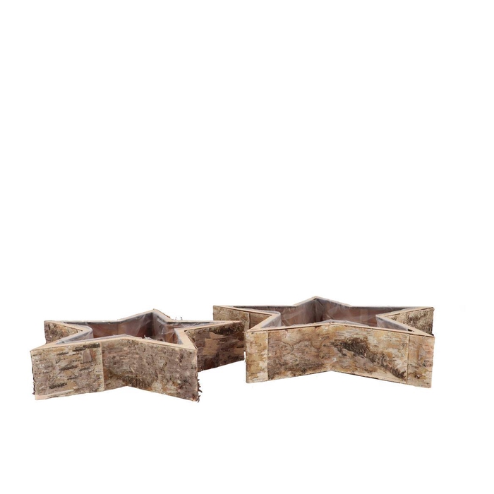 <h4>Nature Birch Planter Star S/2 20x6cm/30x7cm</h4>