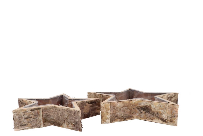 Nature Birch Planter Star S/2 20x6cm/30x7cm