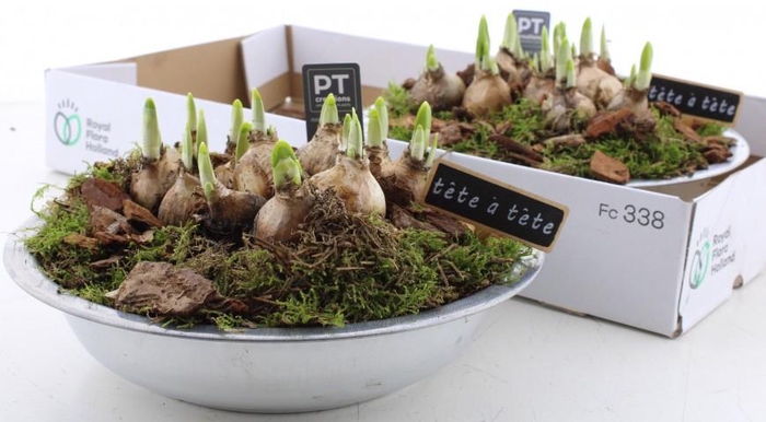 <h4>ARR N TETE A TETE</h4>