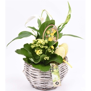 Kunstof kano groen/roze 24x10cm