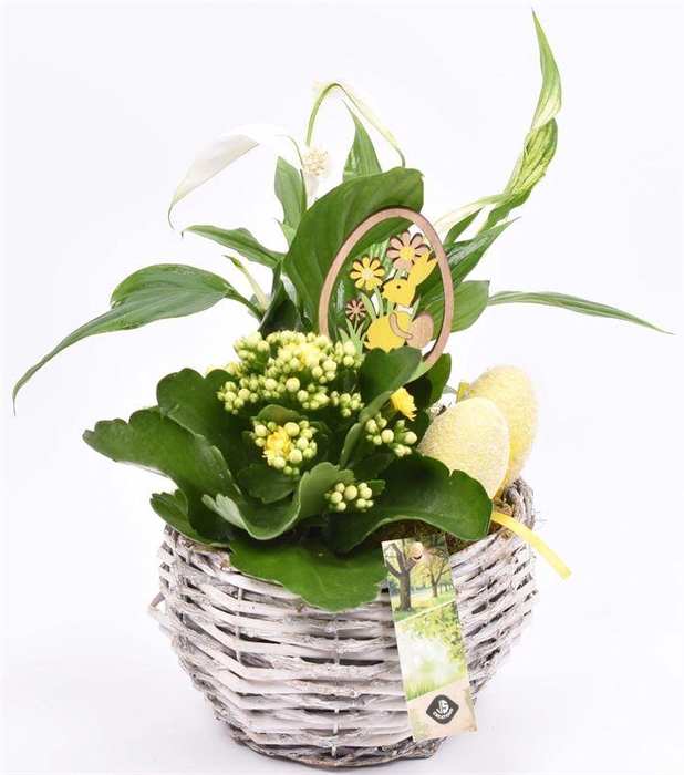 <h4>Kunstof kano groen/roze 24x10cm</h4>