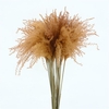 Dried Stipa Feather Salmon