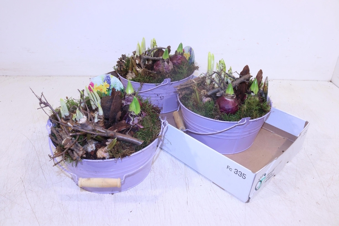 <h4>ARR BOL KNOLGEWAS</h4>