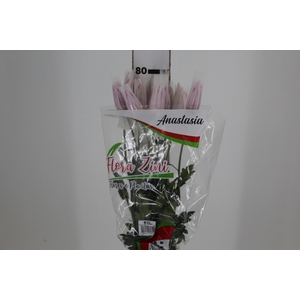 ANASTASIA ROSY 080 CM PINK