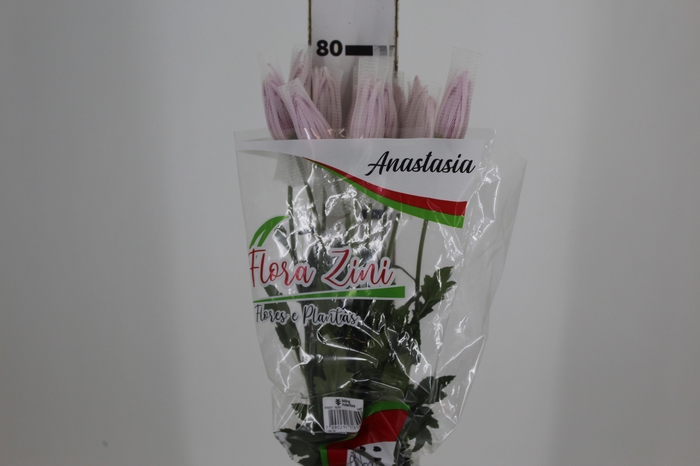 <h4>ANASTASIA ROSY 080 CM PINK</h4>
