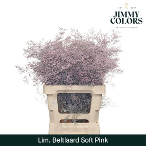 Lim Bel L70 Soft pink